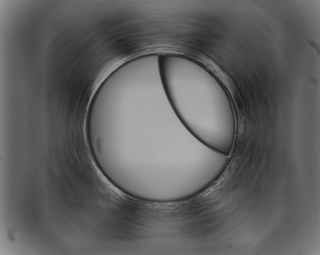 X0000097671293200803281004