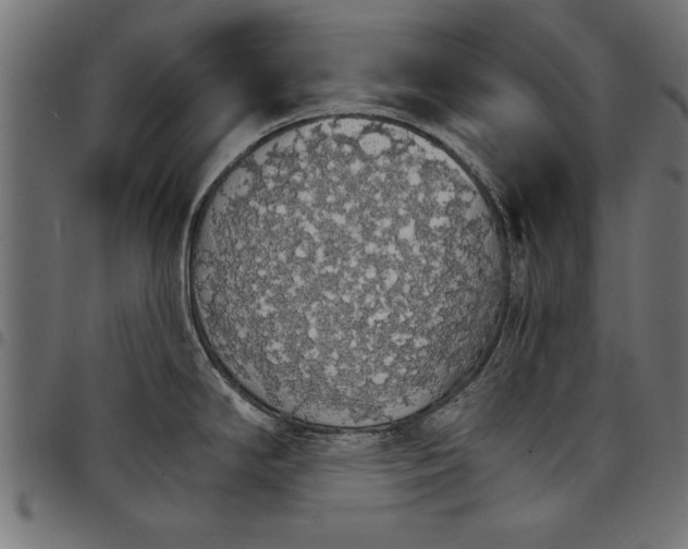 X0000097671294200803281004