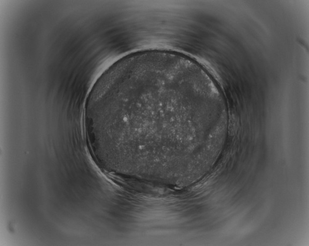 X0000097671295200803281004