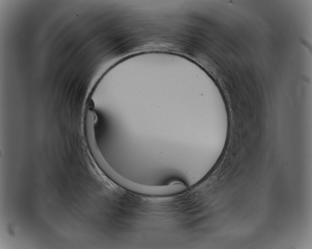 X0000097671296200803281004