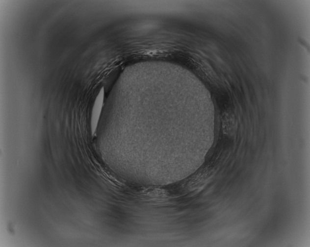X0000097671298200803281004