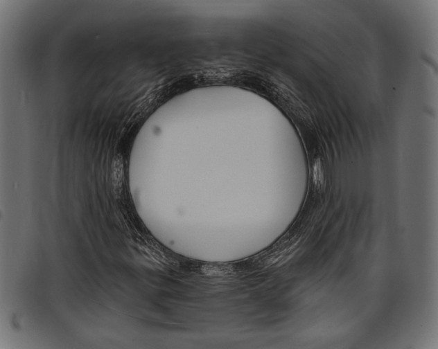 X0000097671299200803281004