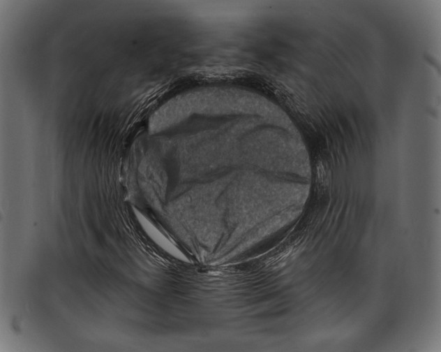X0000097671300200803281004