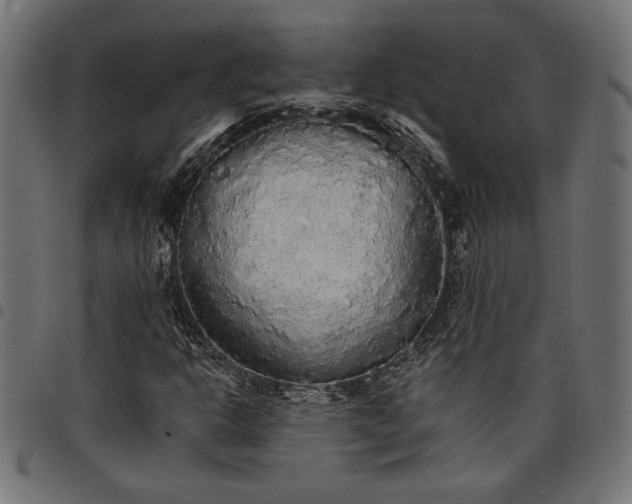X0000097671302200803281004