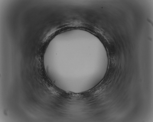 X0000097671304200803281004