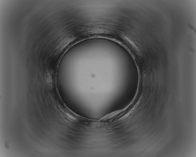 X0000097671305200803281004