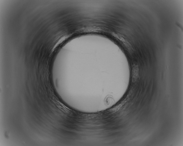 X0000097671306200803281004