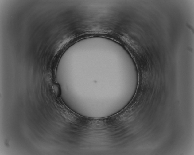 X0000097671307200803281004