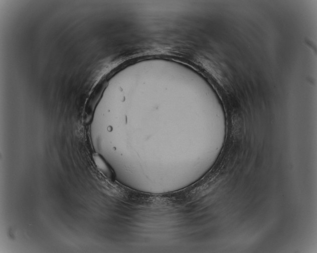 X0000097671308200803281004