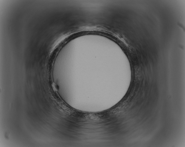 X0000097671311200803281004