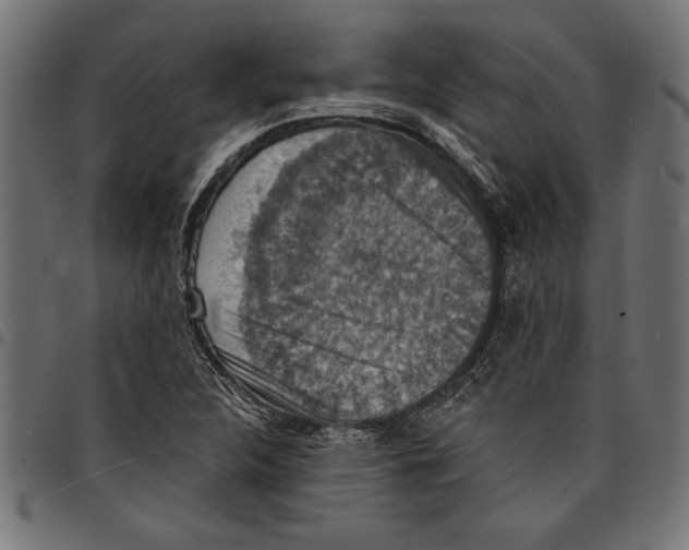 X0000097671312200803281004