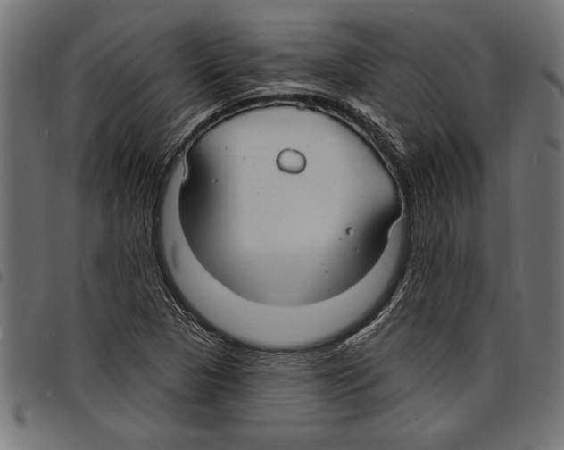 X0000097671313200803281004