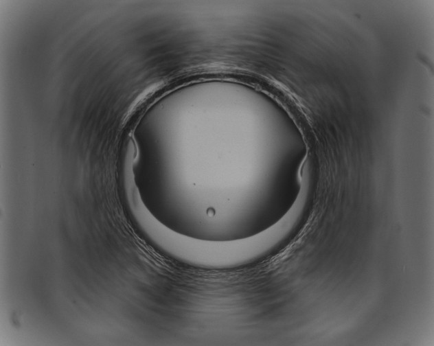 X0000097671314200803281004