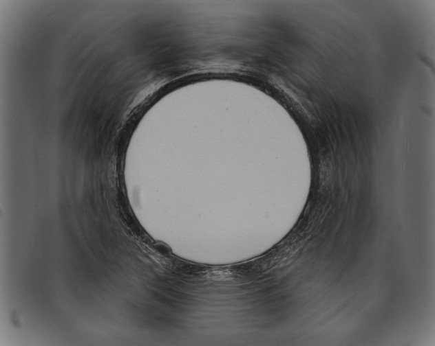 X0000097671315200803281004