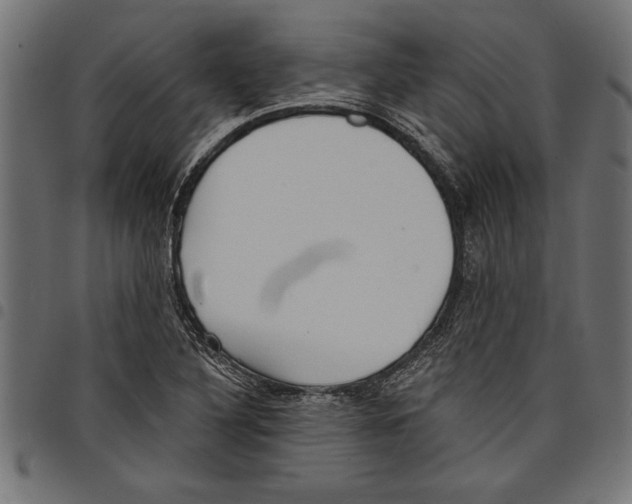 X0000097671316200803281004