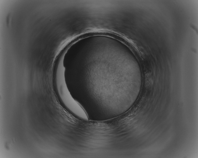 X0000097671319200803281004