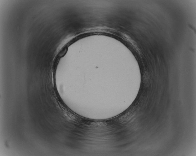 X0000097671320200803281004