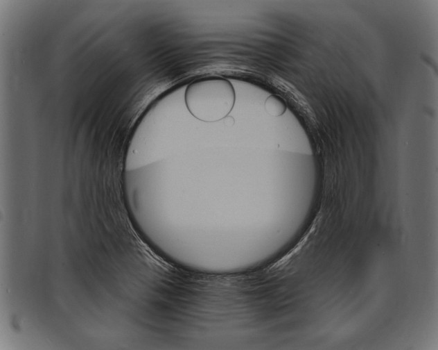 X0000097671321200803281004