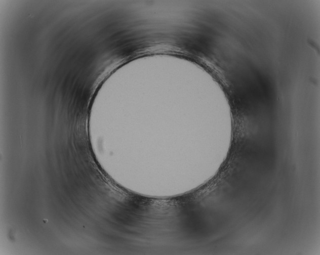 X0000097671322200803281004
