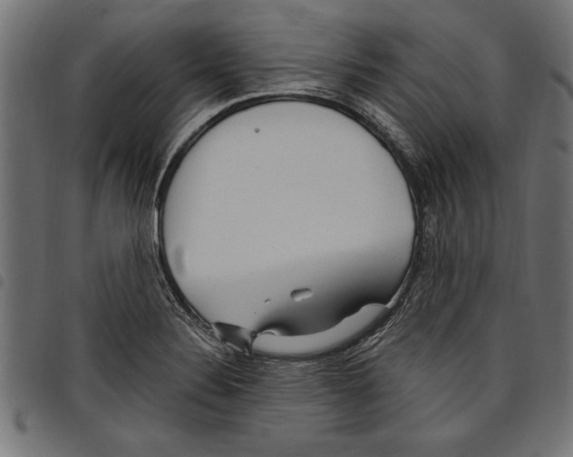 X0000097671324200803281004
