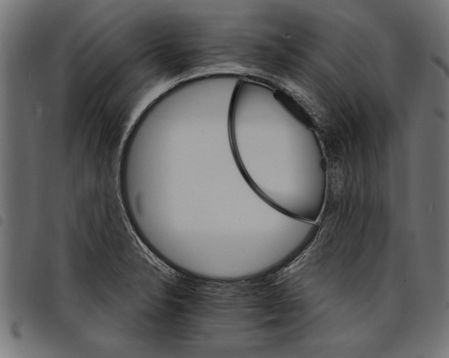 X0000097671326200803281004