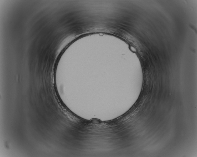 X0000097671328200803281004