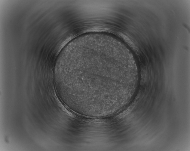 X0000097671329200803281004
