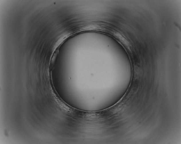 X0000097671330200803281004