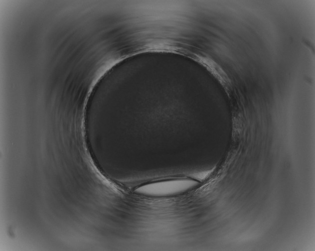 X0000097671331200803281004