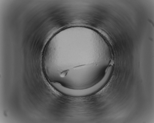 X0000097671333200803281004