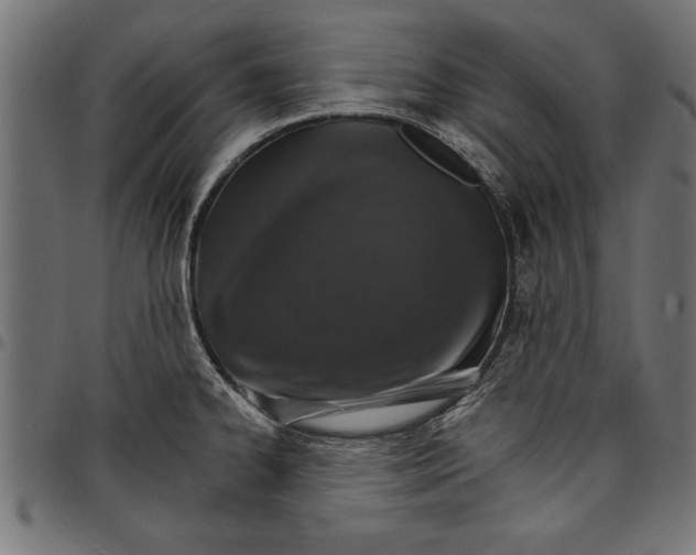 X0000097671334200803281004