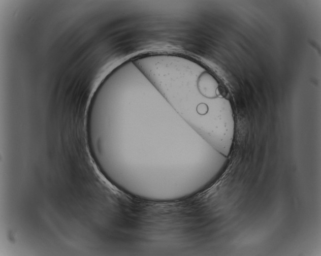 X0000097671335200803281004