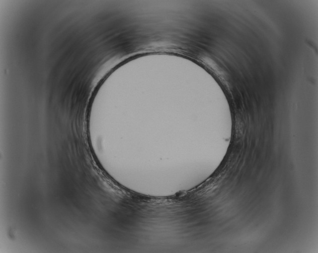 X0000097671336200803281004