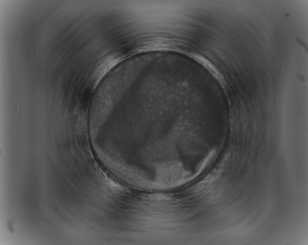 X0000097671337200803281004