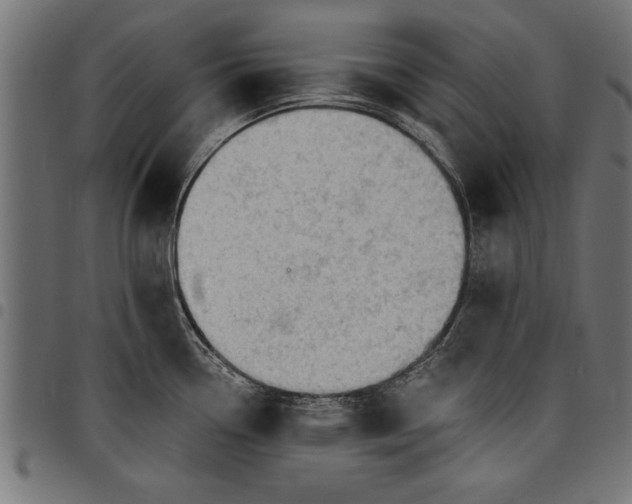 X0000097671338200803281004