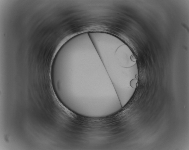 X0000097671339200803281004