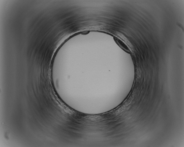 X0000097671340200803281004