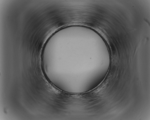 X0000097671341200803281004