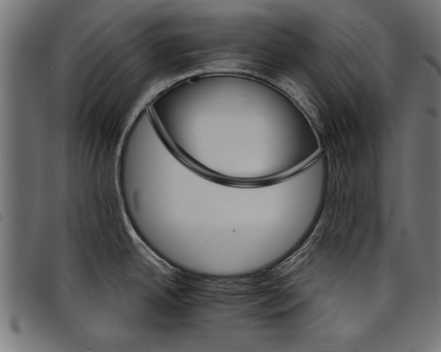 X0000097671342200803281004