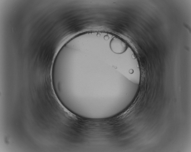 X0000097671343200803281004