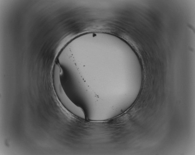 X0000097671344200803281004