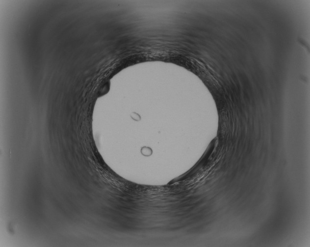 X0000097671345200803281004