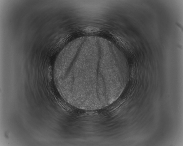 X0000097671346200803281004