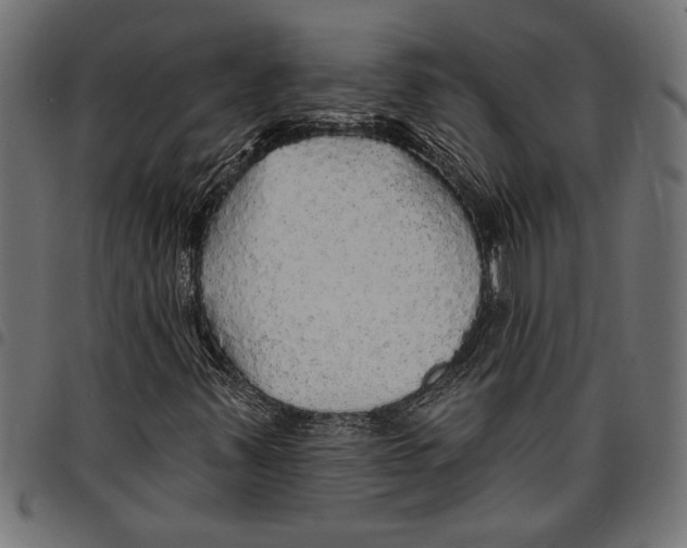 X0000097671347200803281004