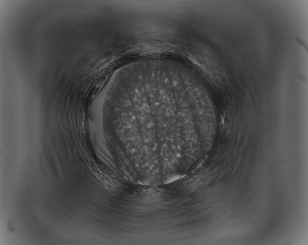 X0000097671348200803281004