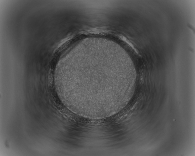 X0000097671350200803281004
