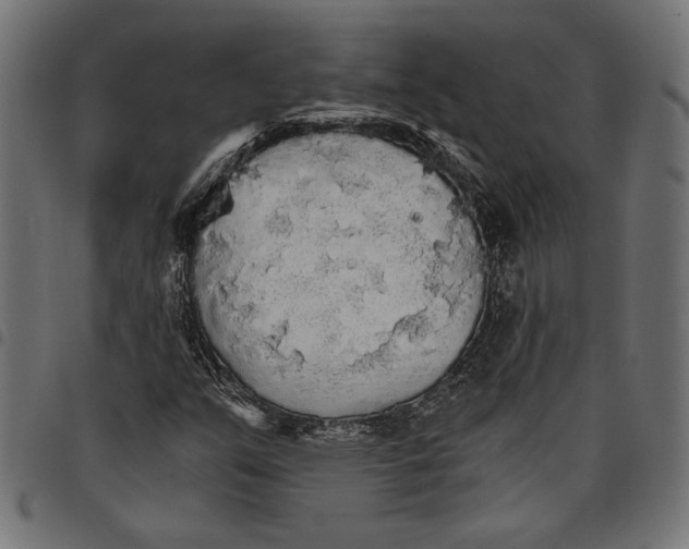 X0000097671351200803281004