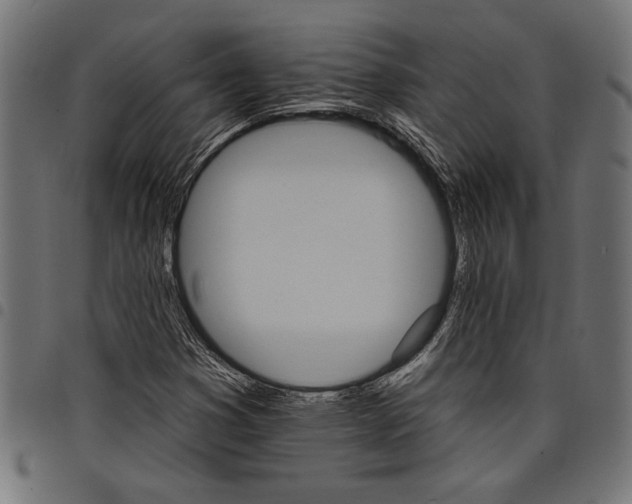 X0000097671353200803281004