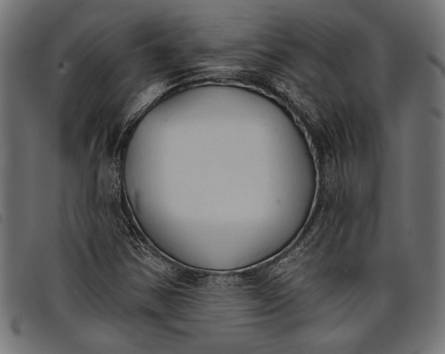 X0000097671354200803281004