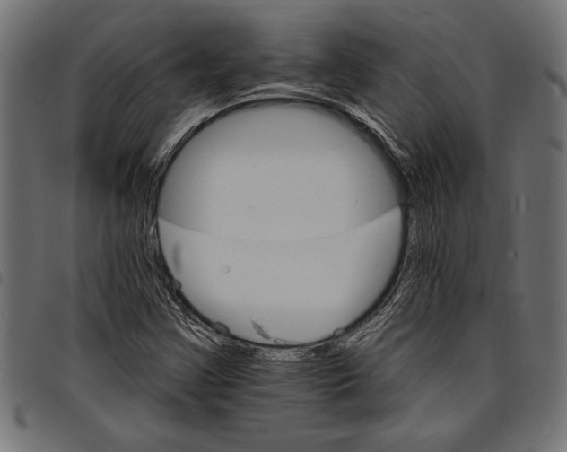 X0000097671355200803281004